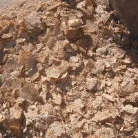 نون خشک|عمده‌فروشی|بهبهان, |دیوار