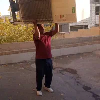 شیرازباراسکانباراسباب کشیکارگراثاثمنزلجابجایی|خدمات حمل و نقل|شیراز, شهرک بهشتی|دیوار