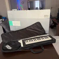 ساز گیو کی تار کورگ RK 100S