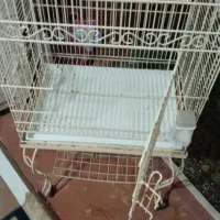 قفس ژاپنی|لوازم جانبی حیوانات|مشهد, سراب|دیوار