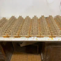 المان مقبره الشعرا