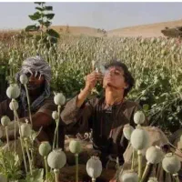 بهبود ترک اعتیاد سنتی وصنعتی|خدمات آرایشگری و زیبایی|گلستان (تهران), |دیوار