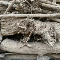 فروش چوب عمده|حراج|مهریز, |دیوار