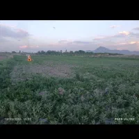 فروش زمین و باغچه