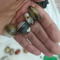 مهره اصل معاوظع هم با دوچرخه ..ساعت وو پرنده|کلکسیون سکه، تمبر، اسکناس|بهبهان, |دیوار