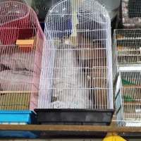 انواع قفس و لوازم جانبی