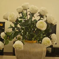 تخفیف ویژه Vip