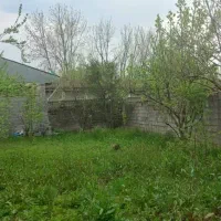 فروش ۲۹۱ متر زمین مسکونی در روستای منگوده. گلسار|فروش زمین و ملک کلنگی|پیربازار, |دیوار