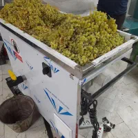 آب انگور شفاف و شیری را دستگاه آبگیری انگور