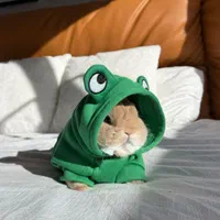 چشم آهویی مینیاتوری مینی لوپ فانتزی ریزه|موش و خرگوش|اصفهان, نقش جهان|دیوار