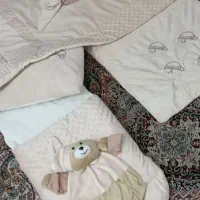 سیسمونی نوزاد