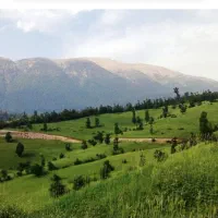 تور یکروزه گیلانگردی ،شنا و آب بازی