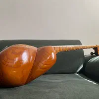 تار جلیل صالحی|سازهای سنتی|تهران, بهار|دیوار