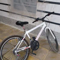 فروش دوچرخه