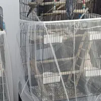 قفس بزرگ پرنده و کوچیک به همراه پایه ها