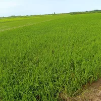 650 متر باغچه بابا سلمان تعویض با آپارتمان، خزایی