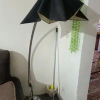 آباژور ایستاده