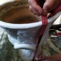 گل و گلدان سفالی|گل و گیاه طبیعی|مشهد, مشکینی (شهرک غرب)|دیوار