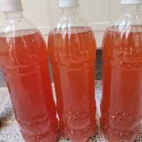 فروش آبغوره ی تازه|خوردنی و آشامیدنی|تهران, فلسطین (میدان انقلاب)|دیوار