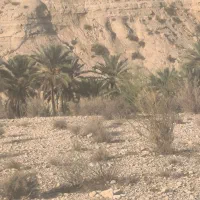274متر زمین مسکونی با بهترین قیمت جم متر 900هزار|فروش زمین و ملک کلنگی|جم, |دیوار
