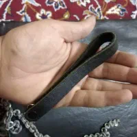 فروش زنجیر یزدی|بدلیجات|شیراز, اصلاح‌نژاد|دیوار