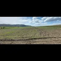 فروش زمین زراعی به متراژ۷۵۰۰متردردهستان حور،اردبیل