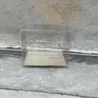 قفس پرندگان