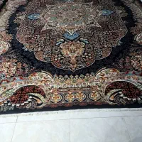 دوتا فرش ۱۲متری دانه|فرش|تربت‌حیدریه, کلاته توکلی|دیوار