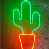 تابلو نئونی کاکتوس|ریسه و چراغ تزئینی|تهران, والفجر (افسریه)|دیوار