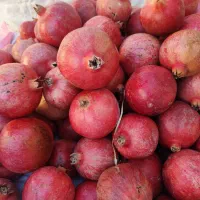 انار درجه 1|خوردنی و آشامیدنی|بختگان, |دیوار