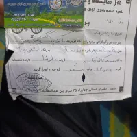 دوچرخه پرادو 24|دوچرخه، اسکیت، اسکوتر|تربت جام, علوی|دیوار