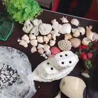 لوازم آکواریوم ارزان