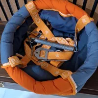 تاب شورتی در حدنو|اسباب و اثاث بچه|کلاله, |دیوار