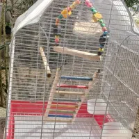 قفس پرنده|لوازم جانبی حیوانات|آبپخش, |دیوار