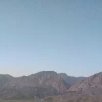 شناسنامه گم شده