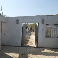 پانسیون و نگهداری اسب