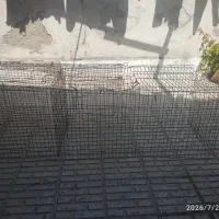 قفس مرغ