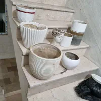 گلدان|گل و گیاه طبیعی|پاکدشت, پاکدشت (مامازند)|دیوار