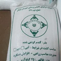 گندم کالاکتور