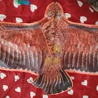 بادبادک|اسباببازی بچه|شادگان, |دیوار