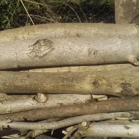 هیزم|لوازم نظافت|سنگر, |دیوار