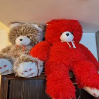 شاسخین بزرگ