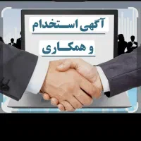 بازاریاب آقا / خانم