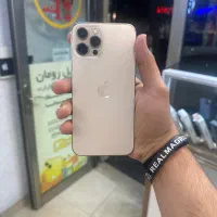 12پرومکس