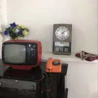 نظافت منزل فقط کافی یک بار امتحان کنید ضرر نمیکنید|خدمات نظافت|تهران, ونک|دیوار