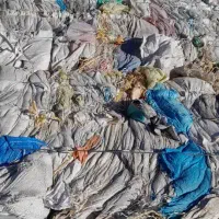 خریدار گونی و تسمه|عمده‌فروشی|پاکدشت, پاکدشت (مامازند)|دیوار