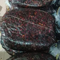 فروش خرمای مرداسنگ درجه یک پر شیره هشتبندی|خوردنی و آشامیدنی|میناب, |دیوار