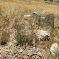 زمین