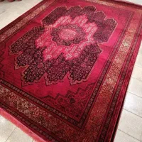 کلکسیون لاکی 700 شانه صددرصد نخ اکریلیک|فرش|کرمانشاه, |دیوار