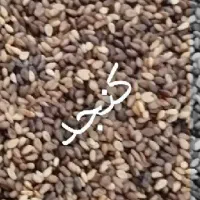 سویق چاقی تضمینی و گیاهی|خوردنی و آشامیدنی|بم, |دیوار